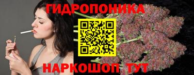ГАЛЛЮЦИНОГЕННЫЕ ГРИБЫ Новозыбков