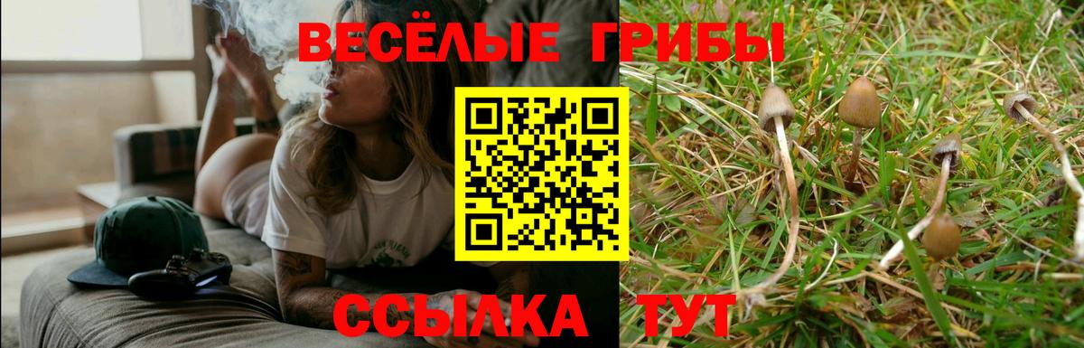Кокаин Сосновый Бор