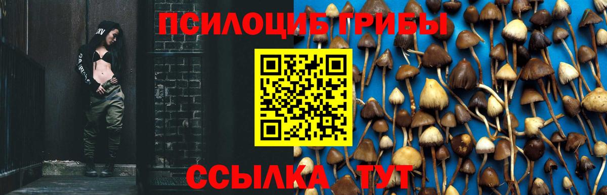 Сосновый Бор  сколько стоит  Вход с VPN  Псилоцибиновые грибы ЛСД 
