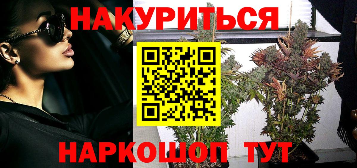 МАРИХУАНА сатива Сосновый Бор